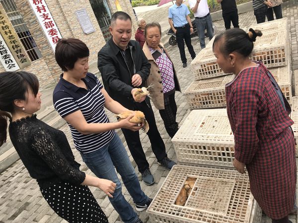 QQ图片20190604173827_副本.jpg