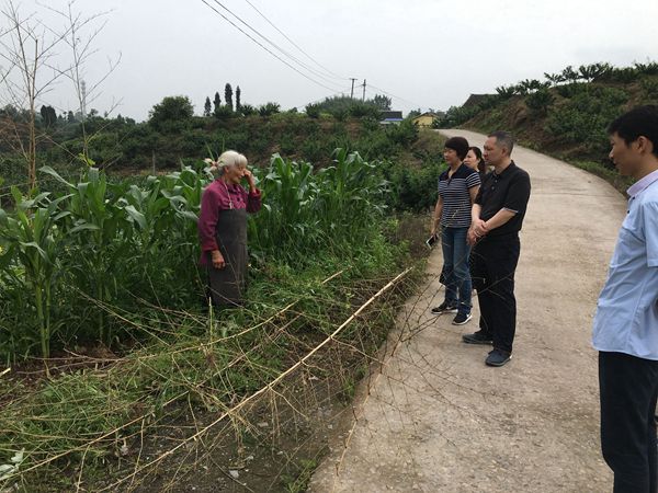 QQ图片20190604174043_副本_副本.jpg